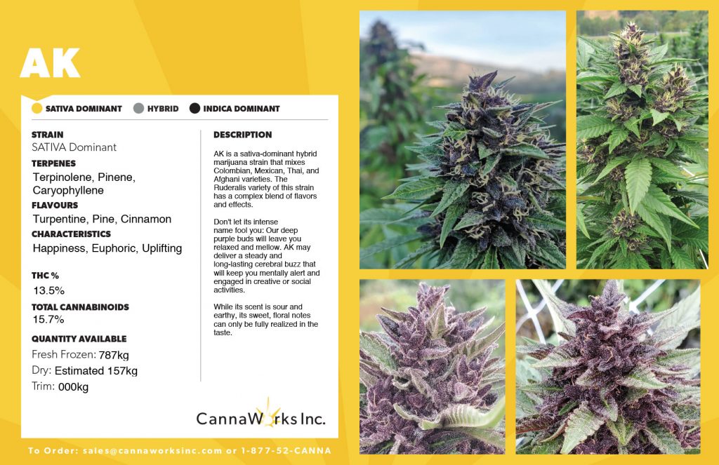 Cannaworks AK Hybrid Cannabis