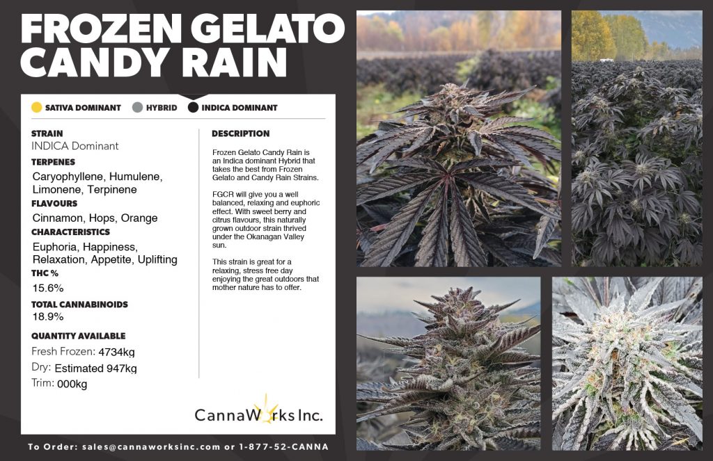 Cannaworks Frozen Gelato Candy Rain Indica Cannabis