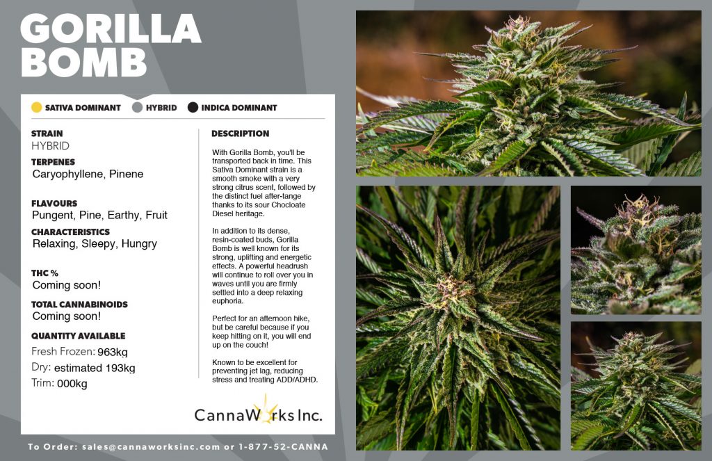 Cannaworks Gorilla Bomb Hybrid Cannabis