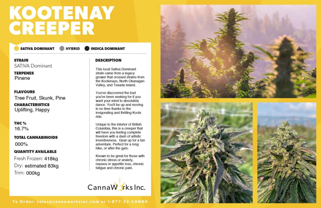 Cannaworks Kootenay Creeper Hybrid Cannabis