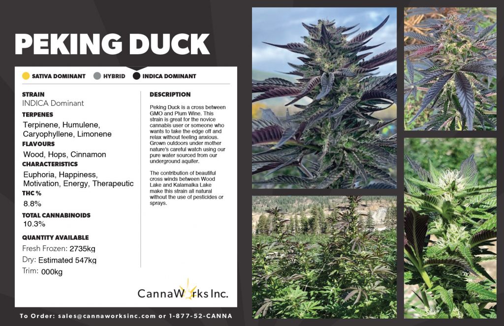 Cannaworks Peking Duck Indica Cannabis